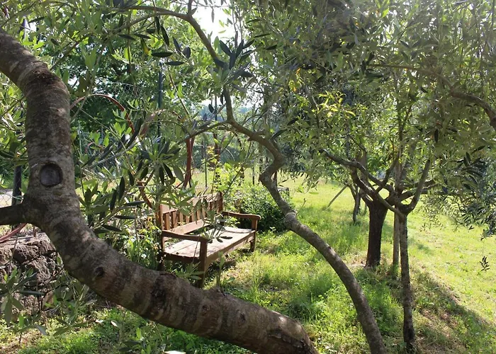 Agriturismo Angio Nel Cere